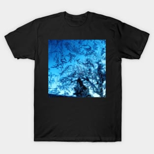 Frosty Window T-Shirt